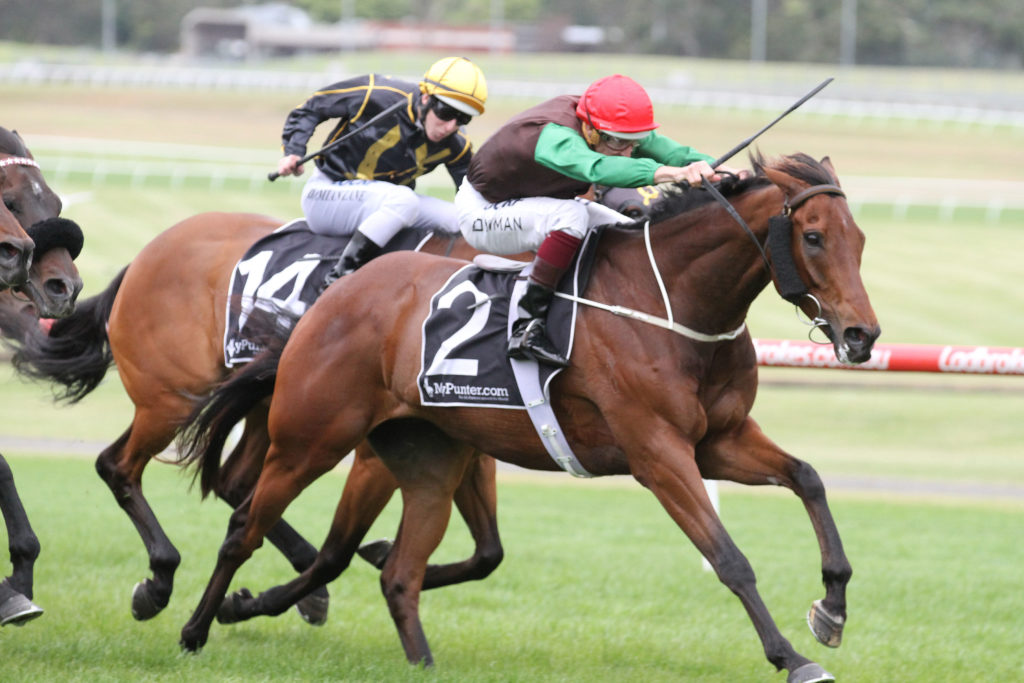 turnitaroundeclipse-stakesgroup-3_12-11-2016_win_sandown_9__1821 | Just Horse Racing
