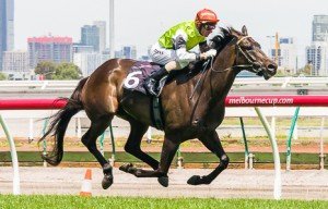 Flemington Raceday