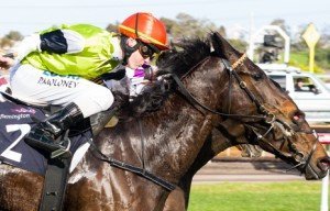 Tuscan Fire winning the Lesley Viney & Colin McKnight Handicap at Flemington - photo by Race Horse Photos Australia