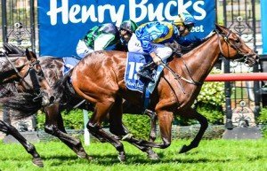 Flemington Raceday | Just Horse Racing