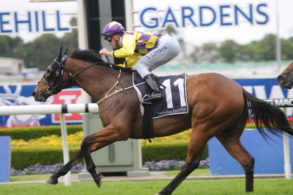Typhoon Jolie 141115 1002 | Just Horse Racing