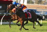 Under The Louvre - Sir Rupert Clarke Stakes