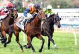 Under the Louvre - The Goodwood Handicap