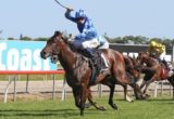 Unemcumbered, Nathan Berry - Photo by Daniel Costello