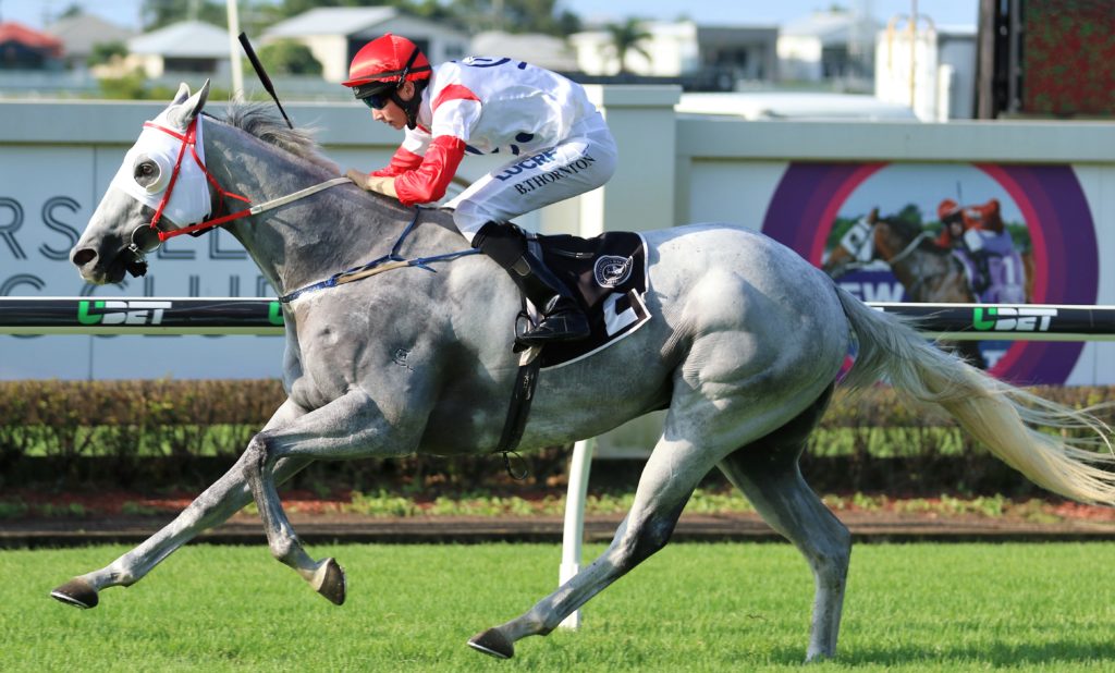 Upstart Pride (3) | Just Horse Racing