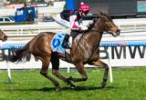 Vain Queen winning the Sportingbet Sprint Series Heat 1 Handicap at Caulfield - photo by Race Horse Photos Australia
