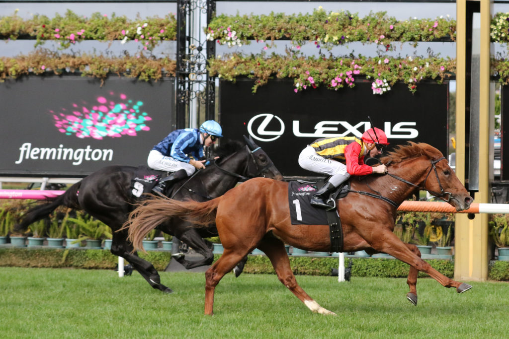 Vassilator_19-05-2018_WIN_Flemington_1__47 | Just Horse Racing