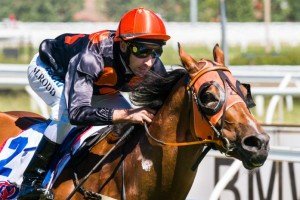 Vatican winning the Doveton Stakes at Caulfield ridden by Michael Rodd and trained by Byron Cozamanis - (photo by Steven Dowden/Race Horse Photos Australia)