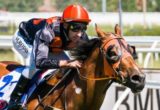 Vatican winning the Doveton Stakes at Caulfield ridden by Michael Rodd and trained by Byron Cozamanis - (photo by Steven Dowden/Race Horse Photos Australia)