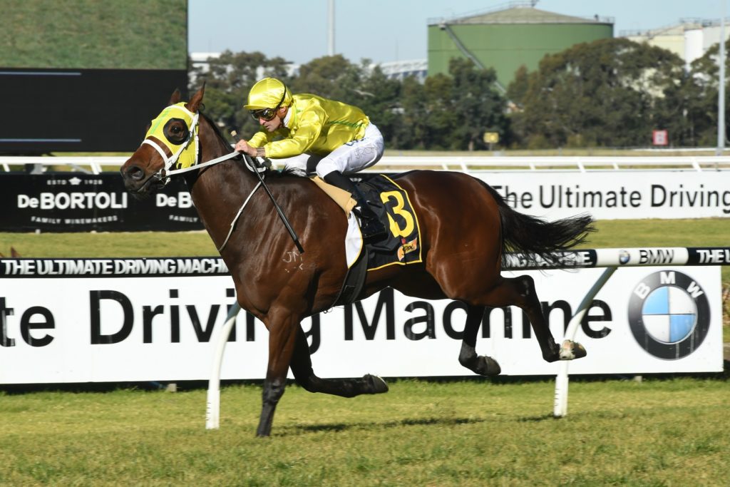 Vaucluse Bay 290717 2041 | Just Horse Racing