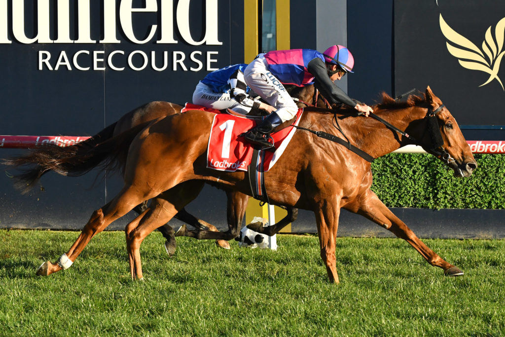 Vega Magic,Regal Roller Stakes,Listed_19-08-2017_WIN_Caulfield_8__1186 | Just Horse Racing