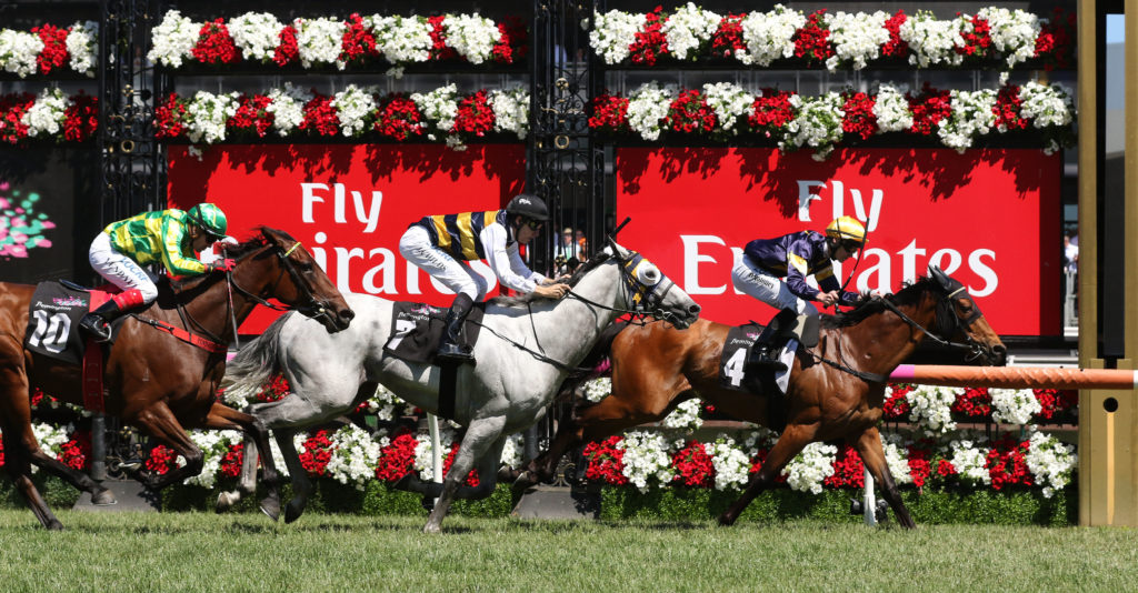 Vengeur Masque,Queen Elizabeth Stakes,Group 3_11-11-2017_WIN_Flemington_5__1303 | Just Horse Racing