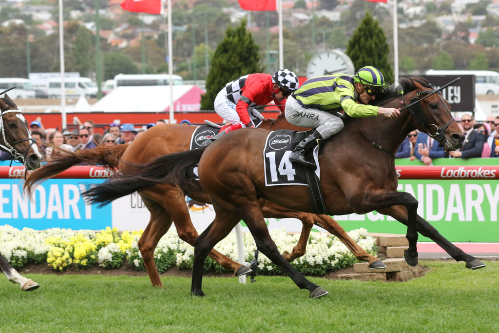 Ventura Storm,Moonee Valley Gold Cup,Group 2_27-10-2018_WIN_Moonee Valley_8__3350 | Just Horse Racing