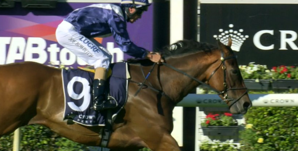Viddora Winterbottom Stakes | Just Horse Racing