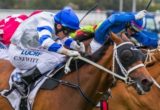 Vilanova winning the Autumn Classic at Caulfield ridden by Craig Newitt and trained by Chris Waller - (photo by Steven Dowden/Race Horse Photos Australia)