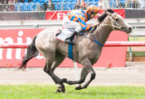 Villa Verde winning the Ottowa Stakes at Flemington - photo by Race Horse Photos Australia (Steven Dowden)