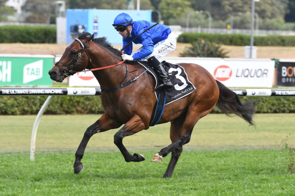 Viridine 071017 0934 | Just Horse Racing