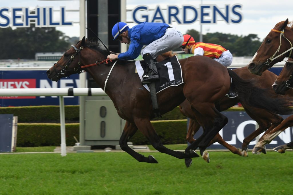 Viridine 200517 7402 | Just Horse Racing