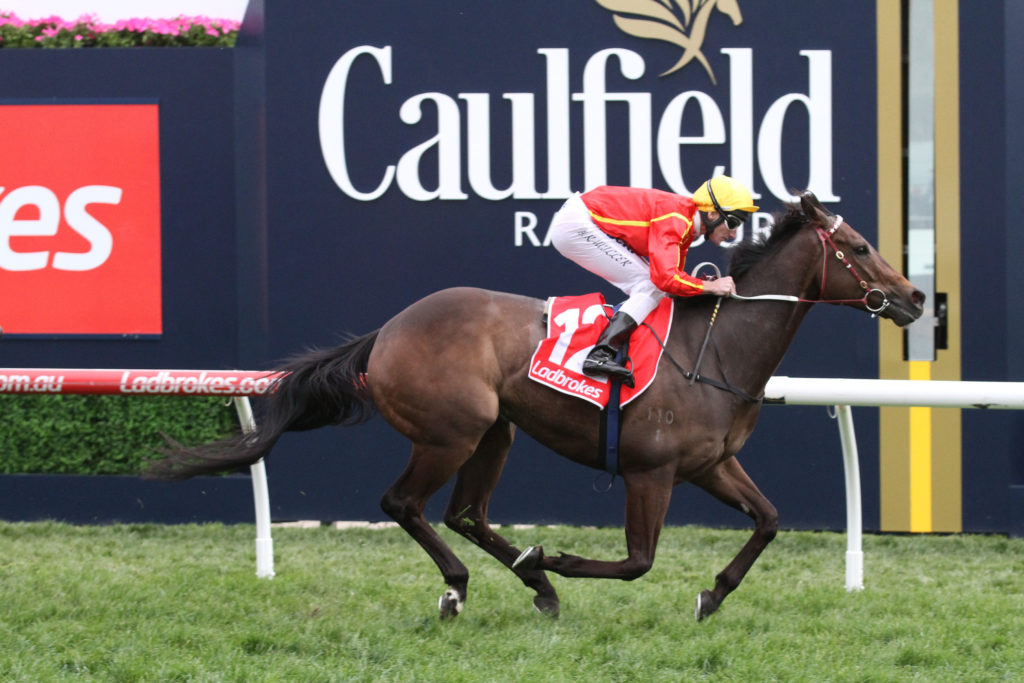 voodoo-ladmoonga-stakesgroup-3_15-10-2016_win_caulfield_10__2020 | Just Horse Racing