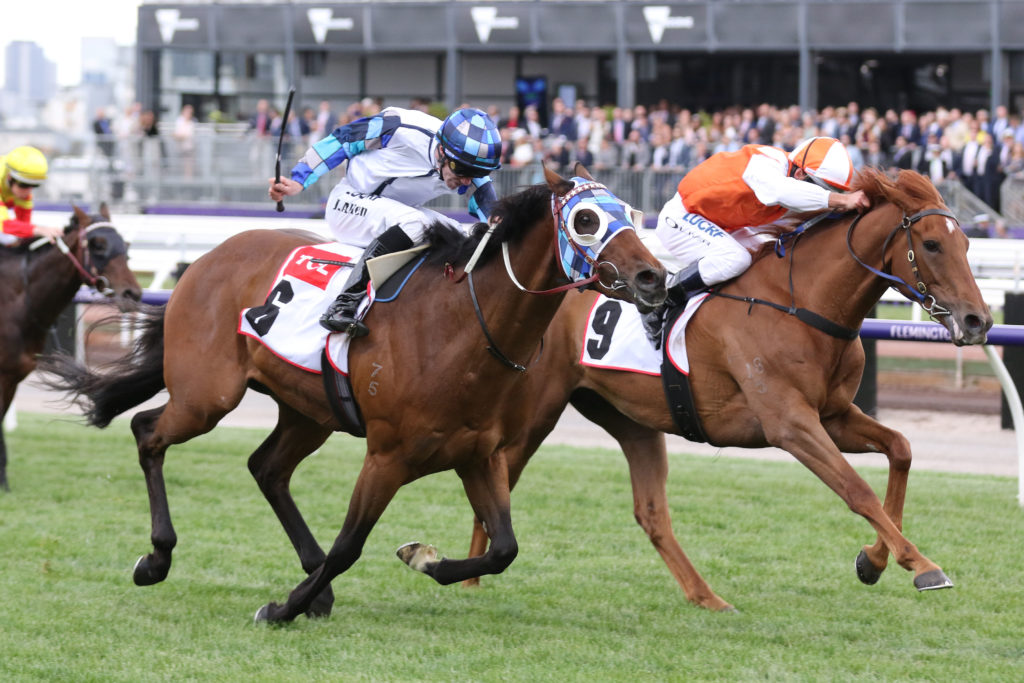 Vow And Declare_08-11-2018_WIN_Flemington_7__1381 | Just Horse Racing