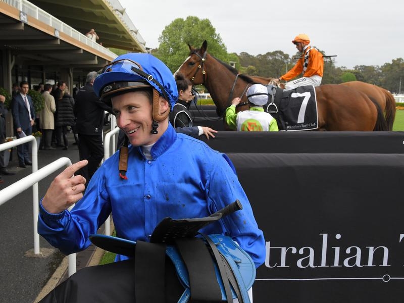 WFarm | Just Horse Racing