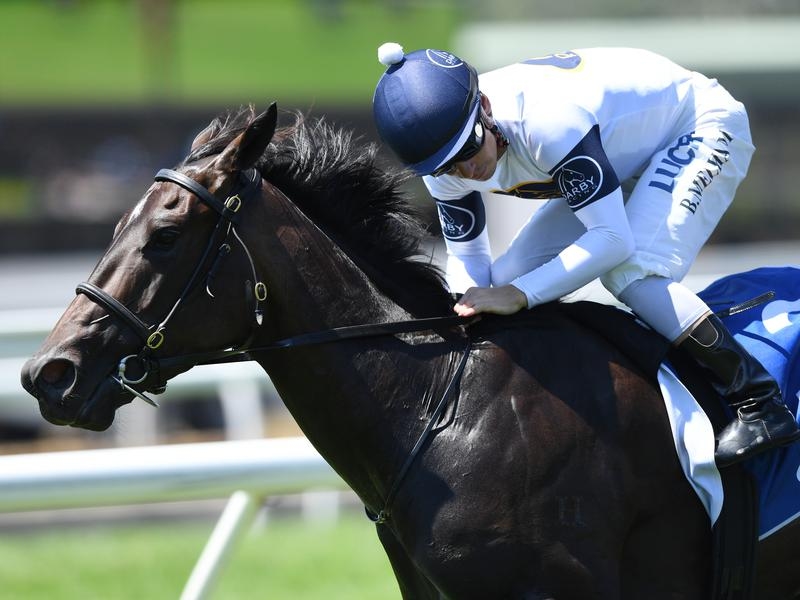 WFarm Reign | Just Horse Racing