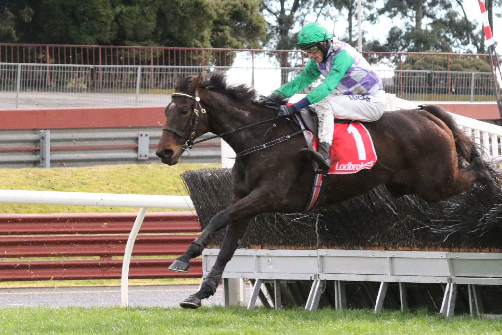 Wells,Crisp Steeplechase_06-08-2017_WIN_Sandown_4__526 | Just Horse Racing