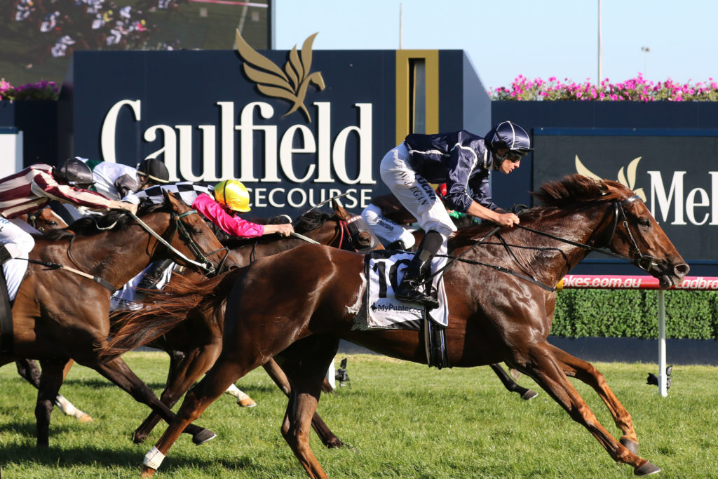 Widgee Turf,Victoria Hdcp,Group 3_31-03-2018_WIN_Caulfield_8__1286 | Just Horse Racing