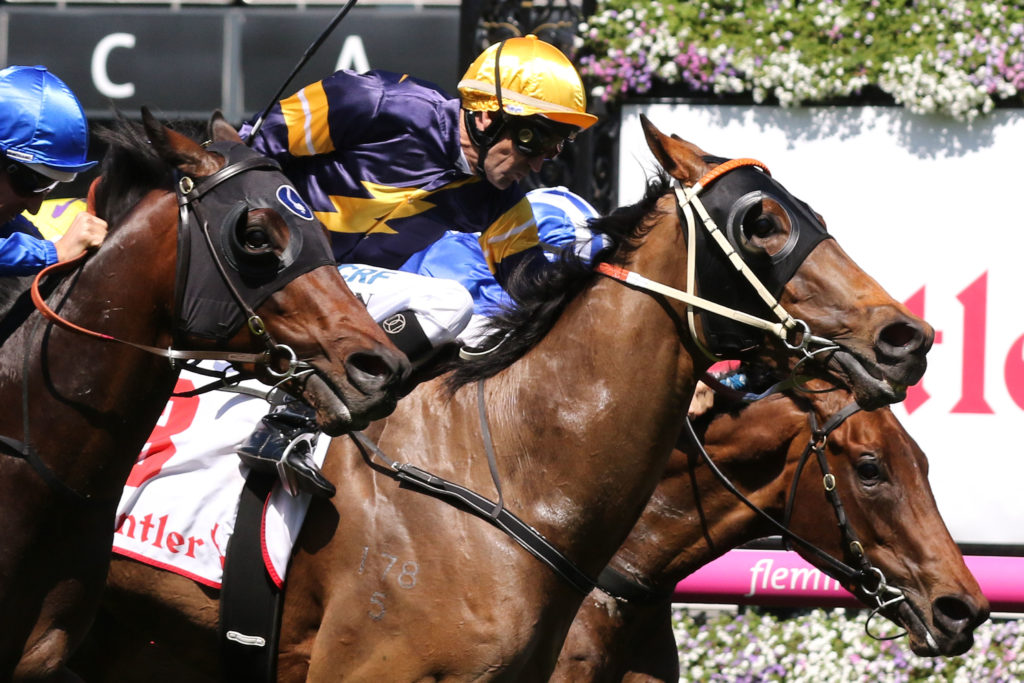 Wild Planet,Poseiden Stakes,Listed_06-10-2018_WIN_Flemington_2__390 | Just Horse Racing