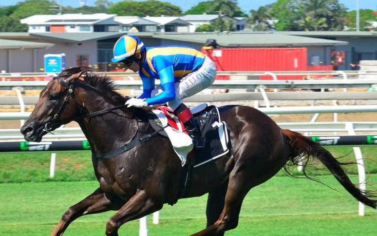 Image result for winning rupert horse