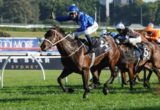 Winx - Epsom Handicap