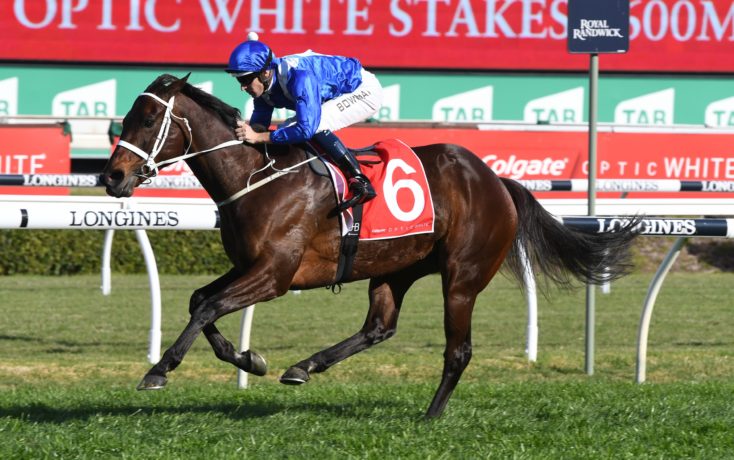 Winx set to dominate The Championships