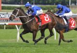 Winx
