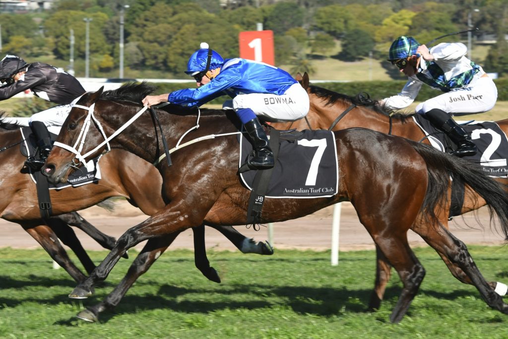 Winx 190817 7384 | Just Horse Racing
