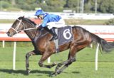 Winx - George Main Stakes
