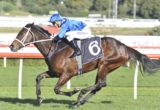 Winx - George Main Stakes