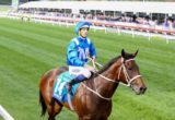 Winx - Bowman