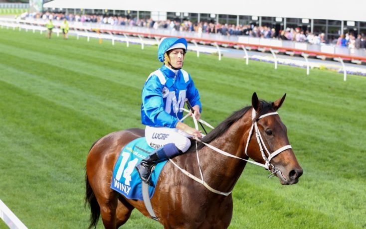 Winx - Bowman