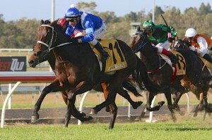 Winx