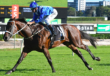 Winx Chipping Norton Stakes