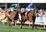 Winx winning her 3rd Cox Plate