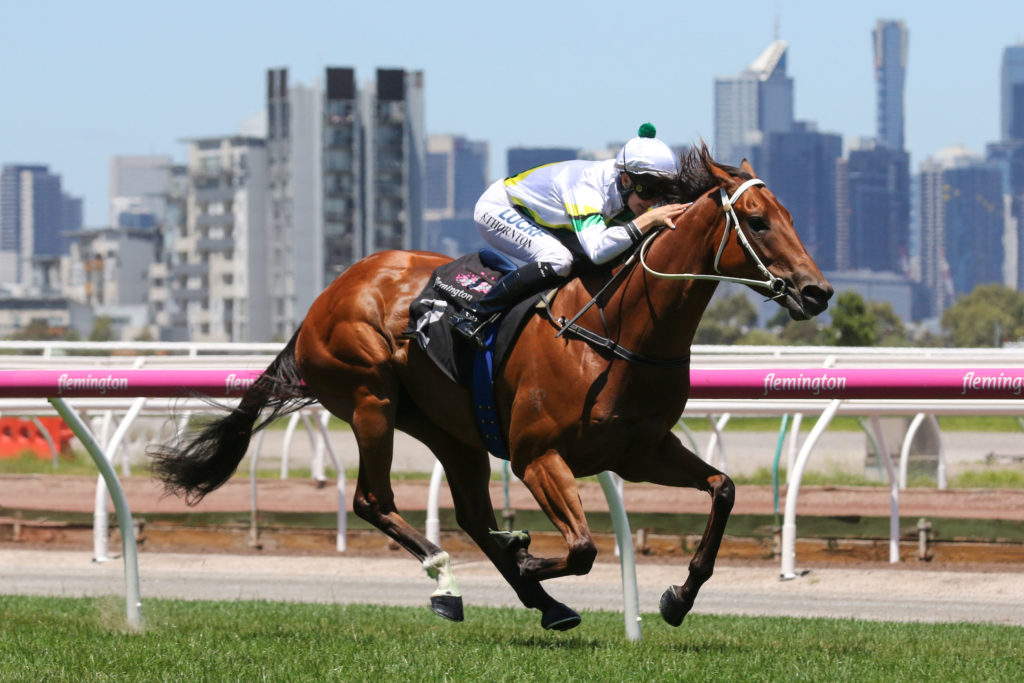 Wise Hero_01-01-2017_WIN_Flemington_2__391 | Just Horse Racing