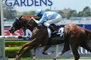 Woodbine