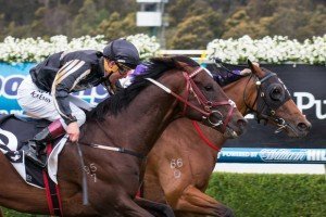 Zabisco, Kerrin McEvoy - Photo by Sarah Ebbett | Just Horse Racing Zabisco, Kerrin McEvoy - Photo by Sarah Ebbett
