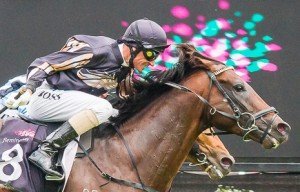 Flemington Raceday | Just Horse Racing