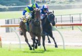 Zellindi winning the dpos Displays Handicap at Moonee Valley - photo by Race Horse Photos Australia