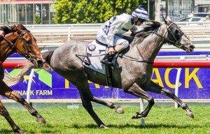 Caulfield Raceday | Just Horse Racing