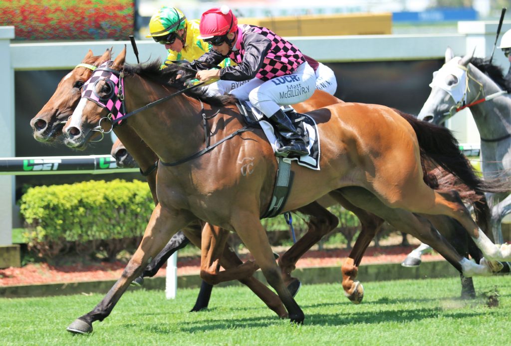 Zofonic Dancer (1) | Just Horse Racing