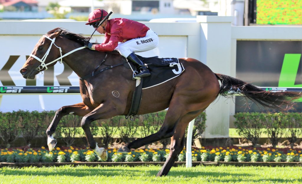 Zousain (4) | Just Horse Racing