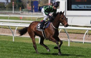 Alcopop - sportpix.com.au